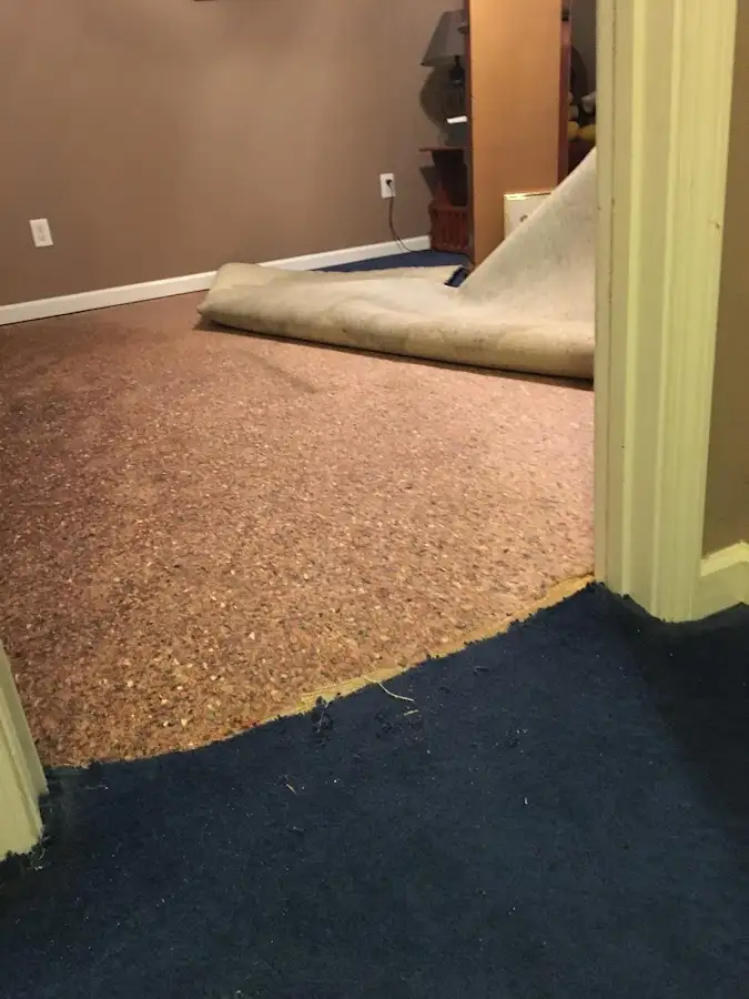 Carpet pad removal revealing water damage during Drying & Dehumidification in Willoughby Hills