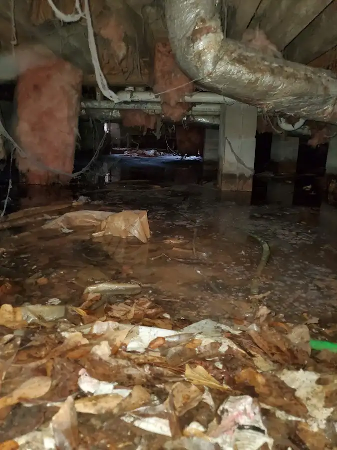 Crawl space flood assessment for Leak Detection & Repair in Willoughby Hills